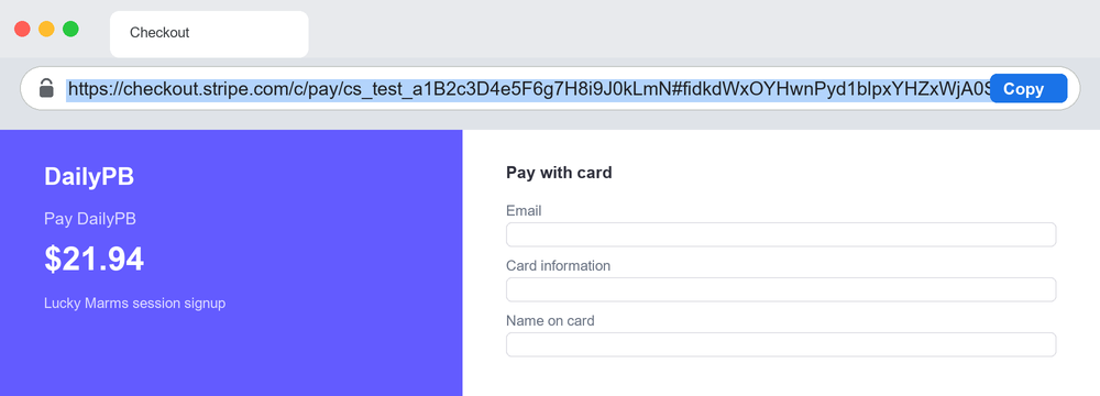 A browser window showing a Stripe Checkout page, with the long checkout.stripe.com URL highlighted in the address bar ready to copy